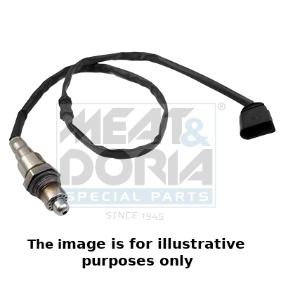 Oxygen Sensor